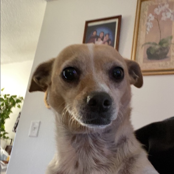 Meet your Posher, Alec - Picture 1 of 1